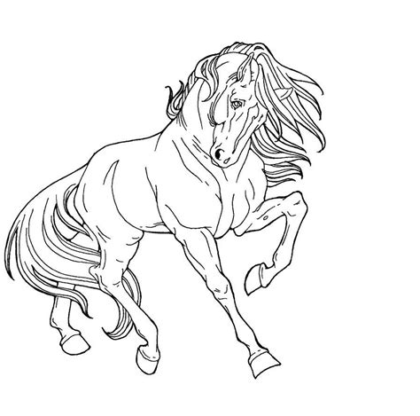 art proud horse  applehunter  deviantart horse drawings