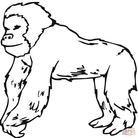 gorilla  coloring page  printable coloring pages