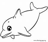 Dolphin Coloring Swimming Pages Dolphins Colouring Baby Printable Cute Happy Print Ocean Clipartmag sketch template
