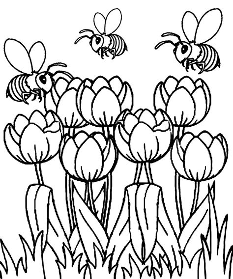 spring  butterfly flower  rainbow coloring pages nature