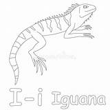 Iguana Coloring Preview sketch template