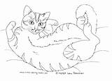 Tuxedo Cat Coloring 26kb 261px sketch template