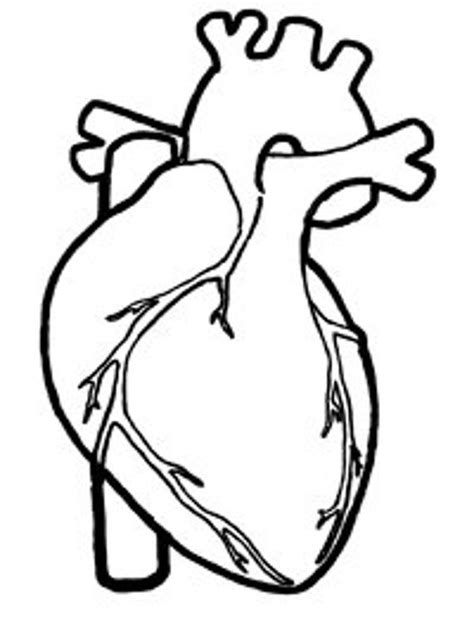 heart coloring pages image  laura miller  projects