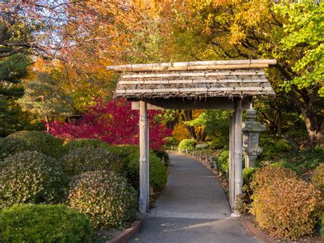 phasing   garden mainstay news   minnesota landscape arboretum