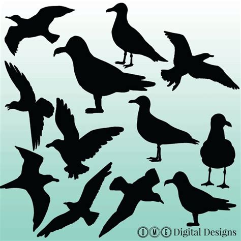 seagull silhouette clipart images clipart design elements instant