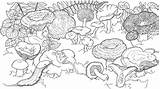 Coloring Pages Slug Mushroom Mushrooms Banana Adults Para Colorear House Magic Sketch sketch template
