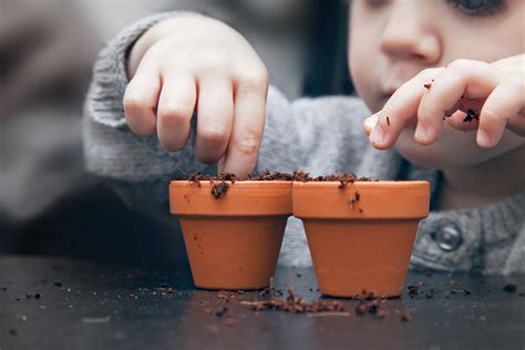 benefits  growing seeds  children kids  gardening