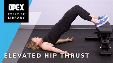 Elevated Hip Thrust Opex Exercise Library Youtube