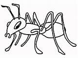 Ant Coloring Pages Ants Printable Cartoon sketch template