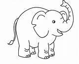 Elefant Malvorlagen Elephants Elefanten Maus sketch template