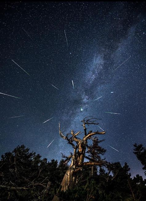 meteor shower yosemite 2021 meteor