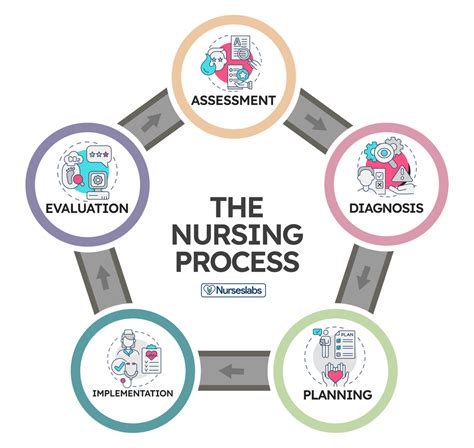 adpie  guide  understanding nursing process nurseslabs