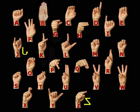 nudged learn   sign  fun phrase  american sign language