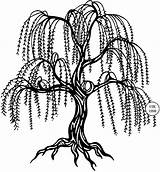 Willow Tree Weeping Clipart Drawing Coloring Clip Saule Vector Silhouette Tattoo Simple Trees Pleureur Pages Cliparts Arbre Leaf 2115 Dessin sketch template