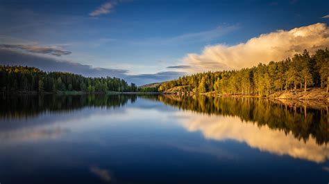 norway forest lake  reflection  blue sky trees  clouds hd