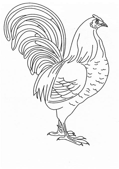 chicken coloring page animals town animals color sheet chicken