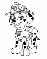 Patrol Paw Coloring Pages Birthday Getcolorings sketch template