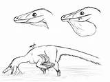 Microraptor Utahraptor  Yellowimages sketch template