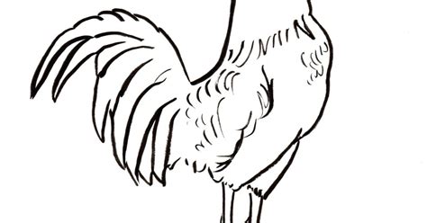 rooster coloring page art starts  kids
