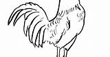 Rooster Coloring Pages Head Drawing Adults Color Printable Getcolorings Print Clipartmag Getdrawings sketch template