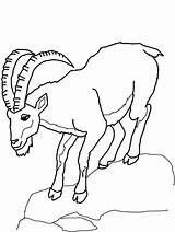 Goat Pages Goats Climbing Climb Colorluna Mammals sketch template