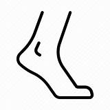 Foot Ankle Icon Heel Barefoot Walking Icons Walk Joints Vector Iconfinder Editor Open Line sketch template