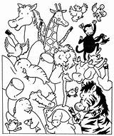 Jungle Animals Wild Coloring Pages Printable Coloriage Animaux La Kb sketch template