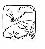 Coloring Pages Dragonfly sketch template