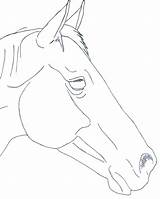 Horse Head Drawing Sketch Line Outline Horses Drawings Template Carving Wood Draw Pferdekopf Simple Sketches Skizze Dessin Pattern Pferd Zeichnen sketch template