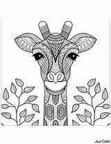 Giraffe Coloring Giraffes Head Pages Adult Color Leaves Kids Children Adults Print Simple Animals Mandalas Printable Justcolor African Relax sketch template