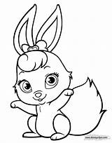 Berry Coloring Pages Pets Palace Disneyclips Cute sketch template
