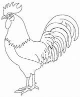 Rooster Colouring sketch template