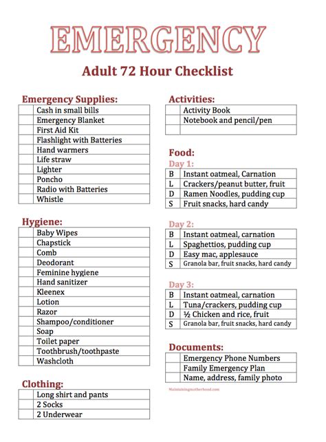 essential diy adult  hour kit  printable checklists maintaining motherhood