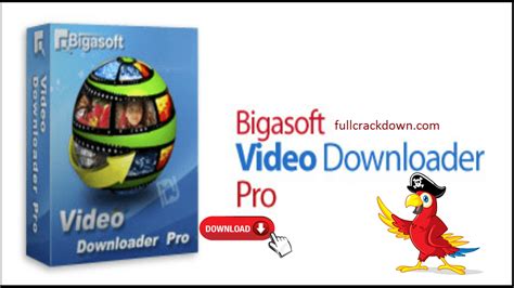 bigasoft video downloader pro  crack   lasopacontrol