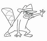 Perry Platypus Coloring Pages Getcolorings sketch template