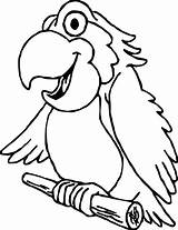 Parrot Wecoloringpage sketch template