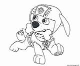Patrol Zuma Paw Coloring Pages Bone Printable Print Book Colouring sketch template