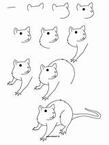 Arboreal Rodent Coloring Drawings 05kb 981px sketch template