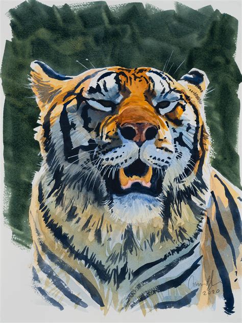 tiger ii watercolor   art  aaron blaise