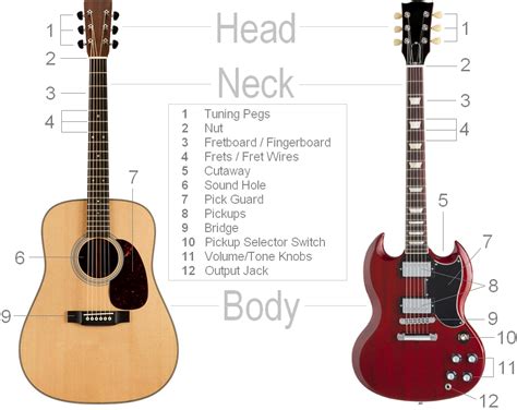 parts   guitar clearest guitar parts diagram detailed breakdown