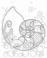 Ocean Shell Fantasy Nautilus Coloring Fish sketch template