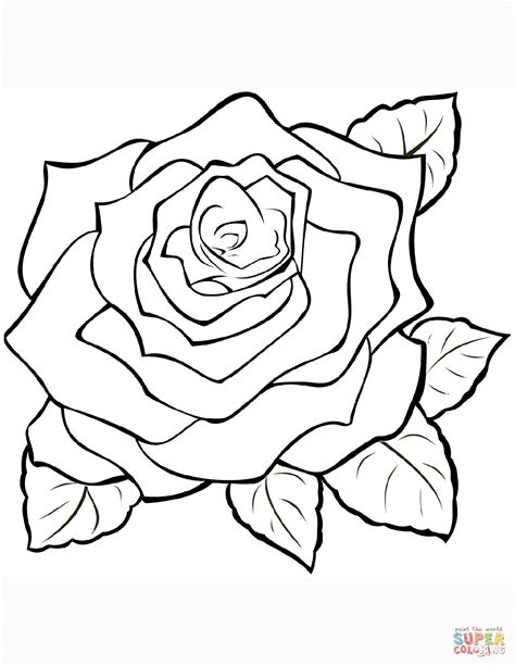 detailed rose pages coloring pages