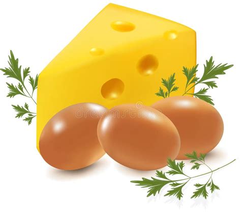 kaas en eieren met peterselie vector illustratie illustration  macro