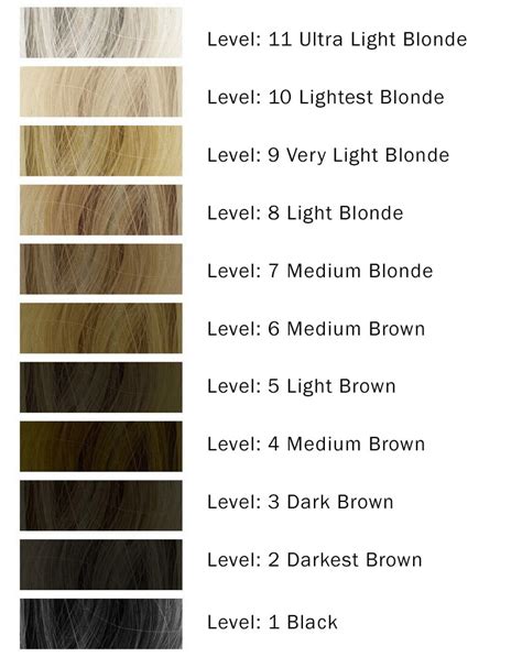 hair color levels   volumes  developers wunderkult