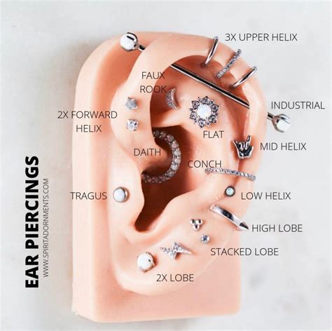 Piercing Obsession Begins With This Ear Piercing Chart In 2020 Ear