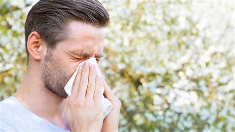por  sufrimos alergia algunos consejos  combatirla salud  medicina