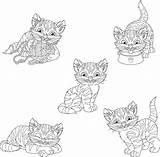 Playing Yarn Cat Kitten Coloring Illustrations Stock Background Set Clip sketch template