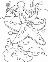 Starfish Coloring Pages Color Outline Bahamas Fish Star Print Rest Kids sketch template