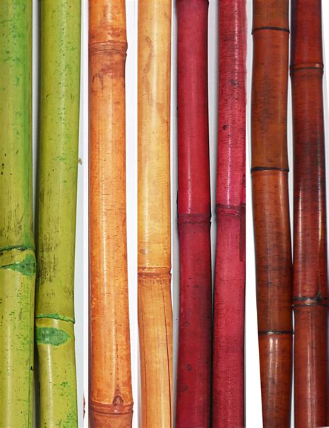 greenfloralcrafts decorative bamboo poles   feet tall set