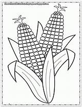Corn Coloring Cob Ear Pages Printable Crops Indian Sheets Colouring Color Kids Print Sheet Printables Drawing Getcolorings Popular Drawings Coloringhome sketch template